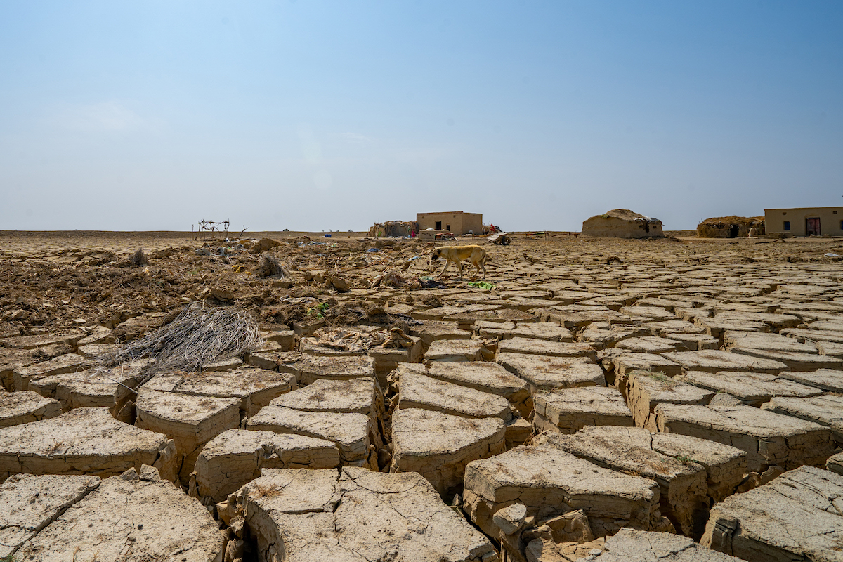 The ground in Pakistan’s Khyber Pakhtunkhwa province, where Concern works, after surviving major floods in 2023 and facing a drought in 2024.