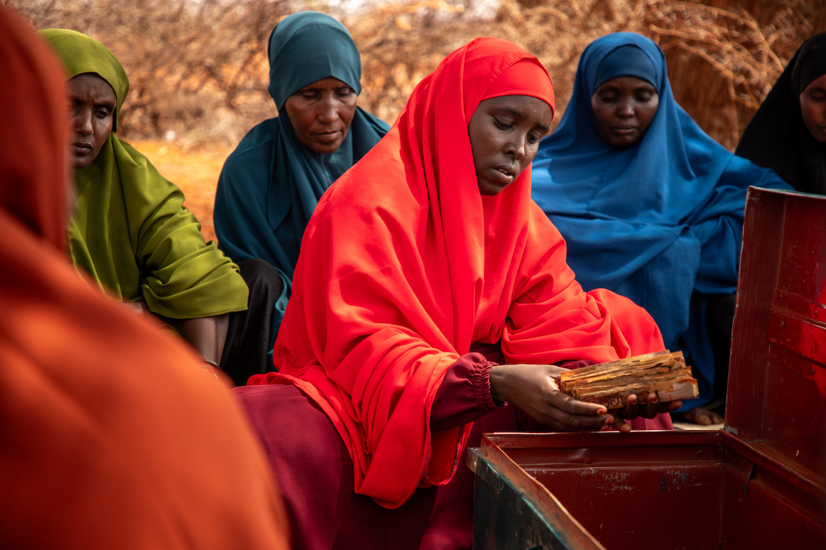 A Village Savings and Loans Association (VSLA) established in Somalia as part of Hanaano.