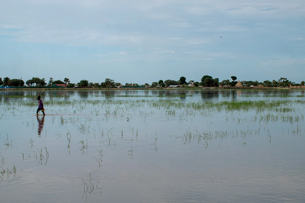 Flood plains in Leer, Unity State. (Photo: Jon Hozier-Byrne/Concern Worldwide)