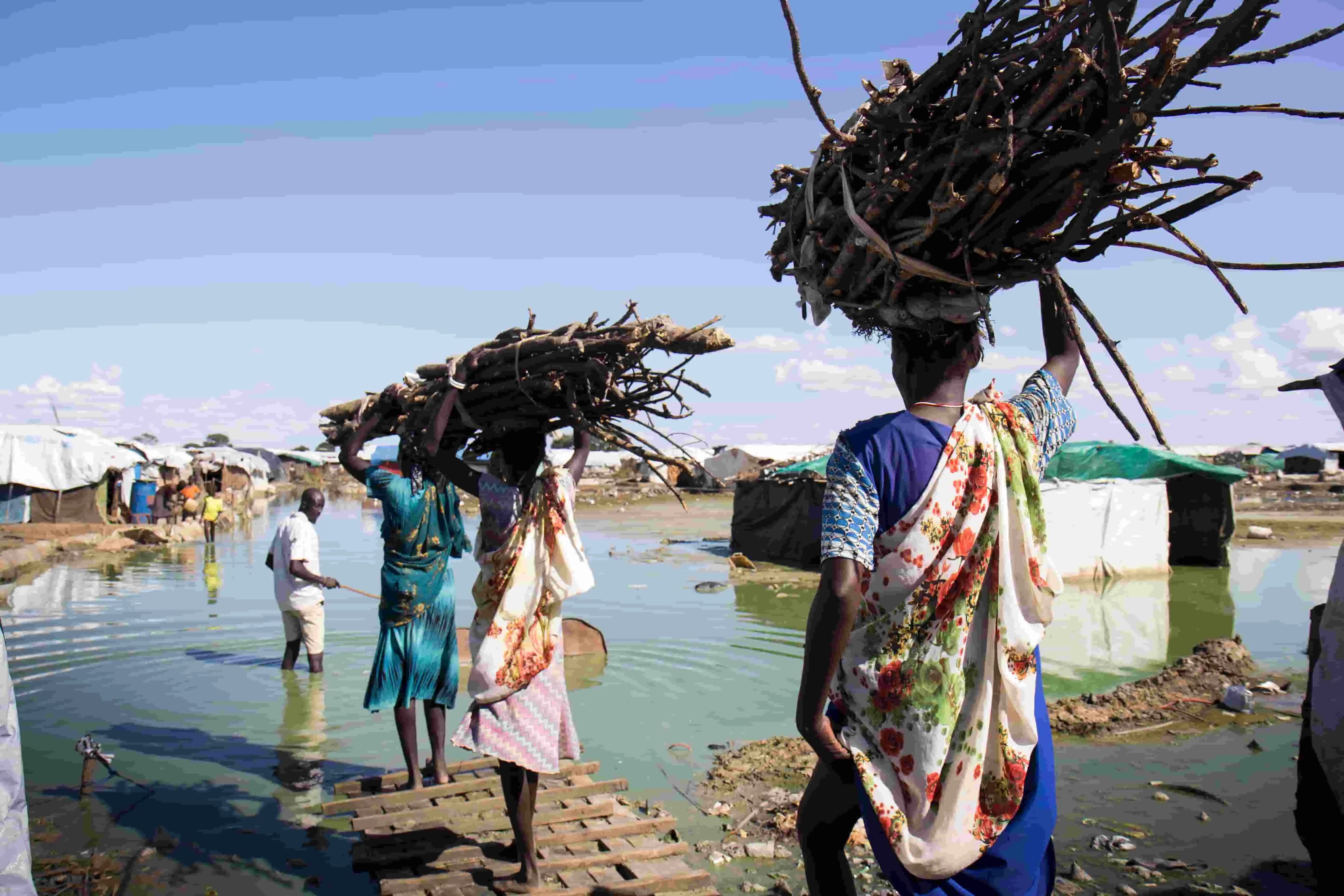 Women carry wood to a displacement camp in South Sudan