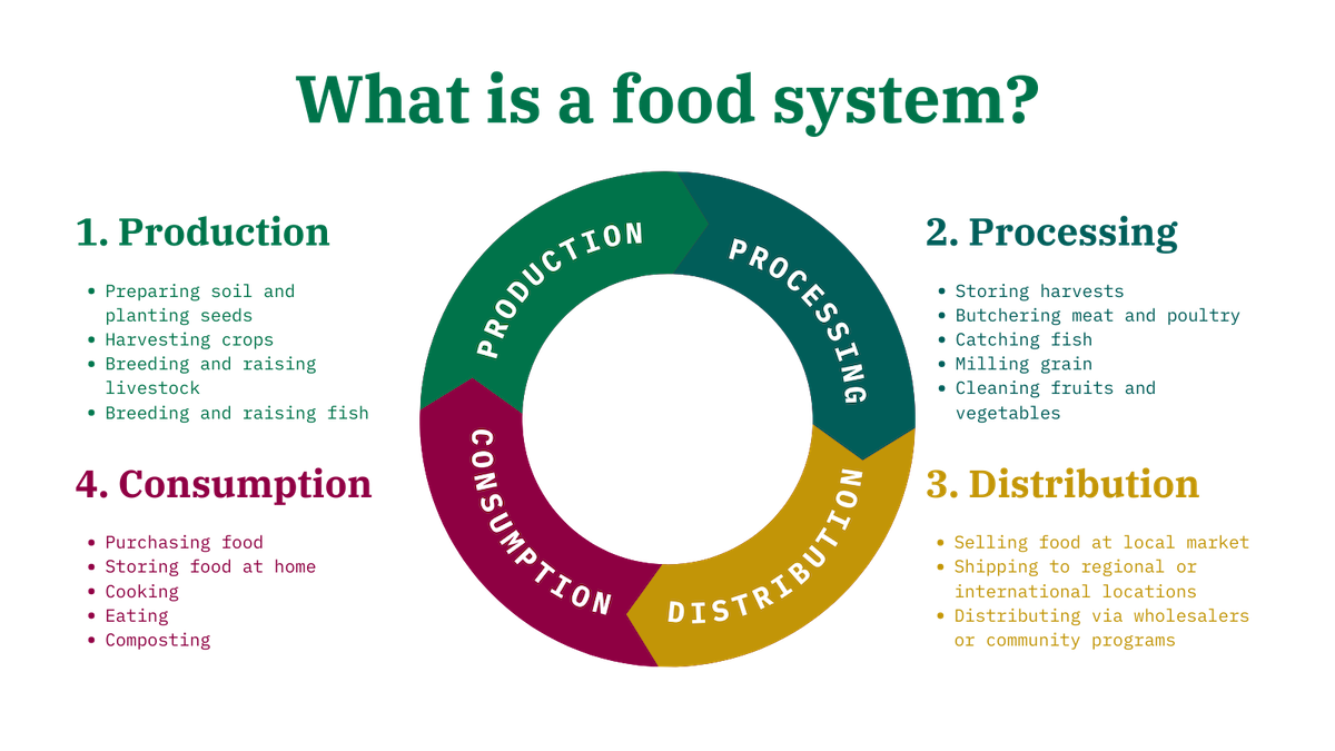 Infographic explaining what a food system is