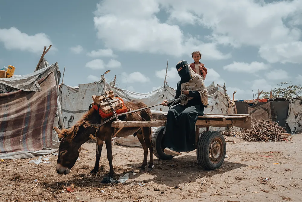 A donkey and cart in Yemen