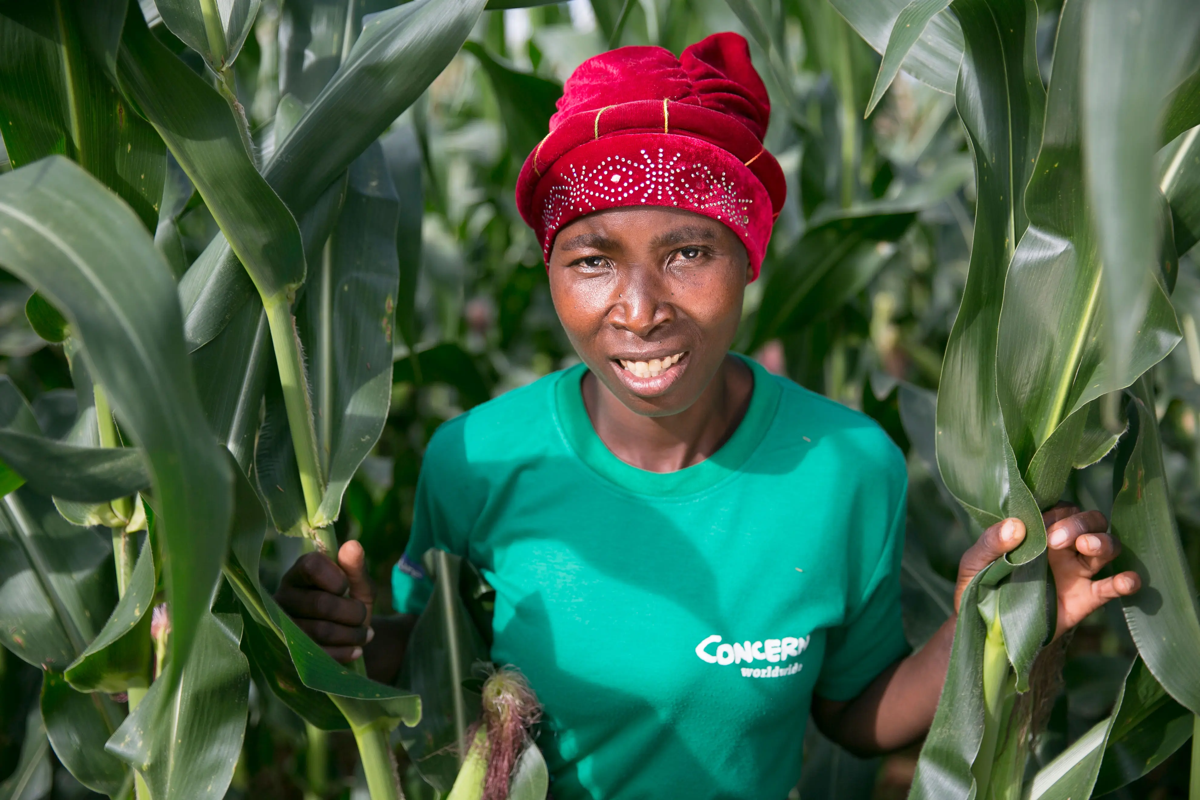 Woman in maize field