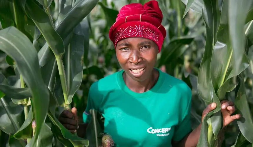 Woman in maize field