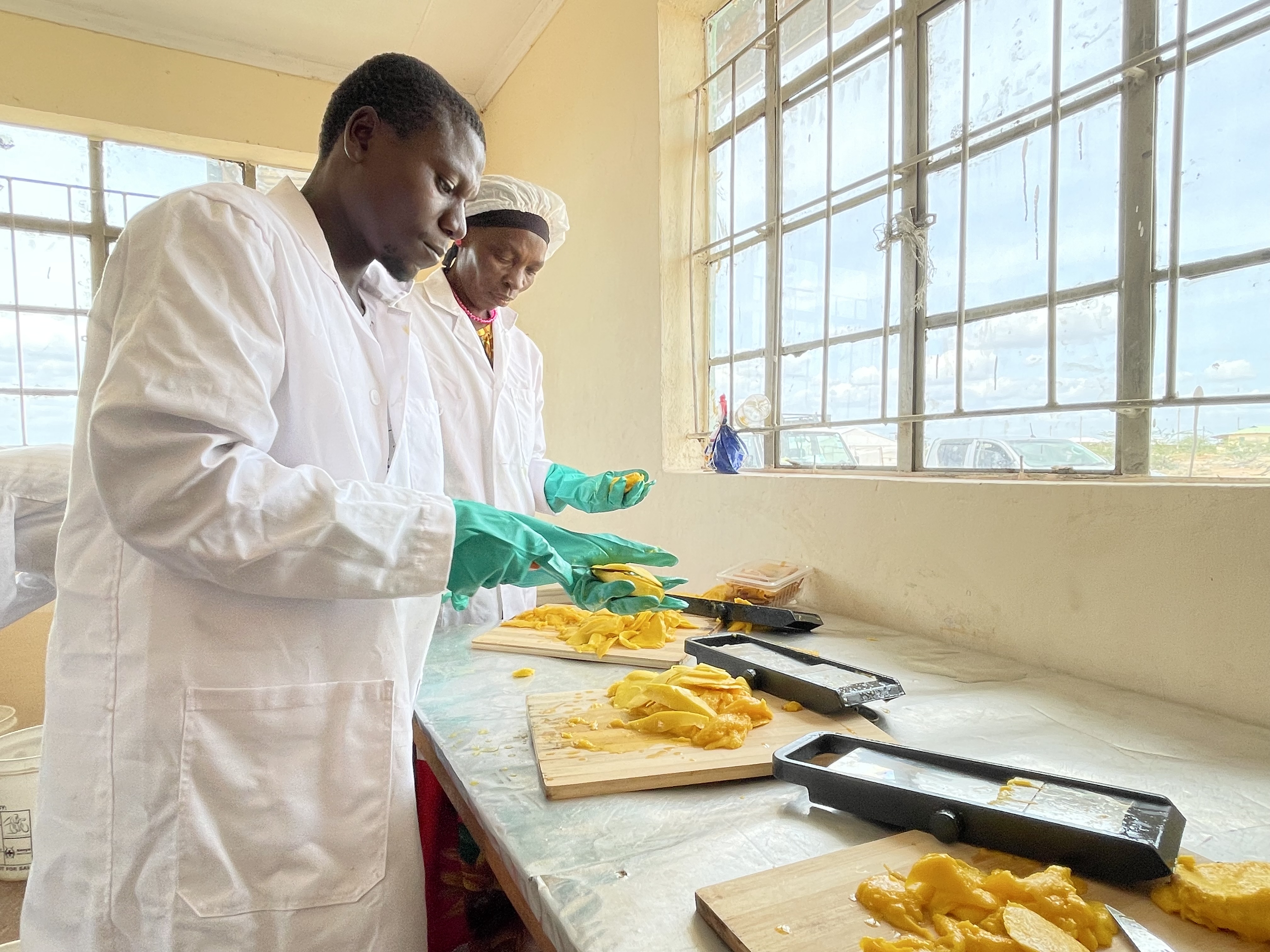 Women are reducing mango post-harvest losses with solar-powered drying facilities in Tana River Country. 